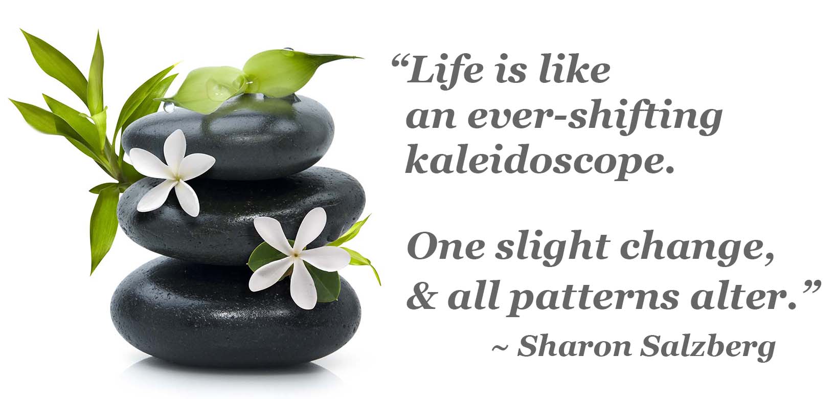 quote: Life is like a shifting kaleidescope