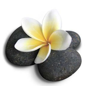 Flower for emotional abuse recovery page